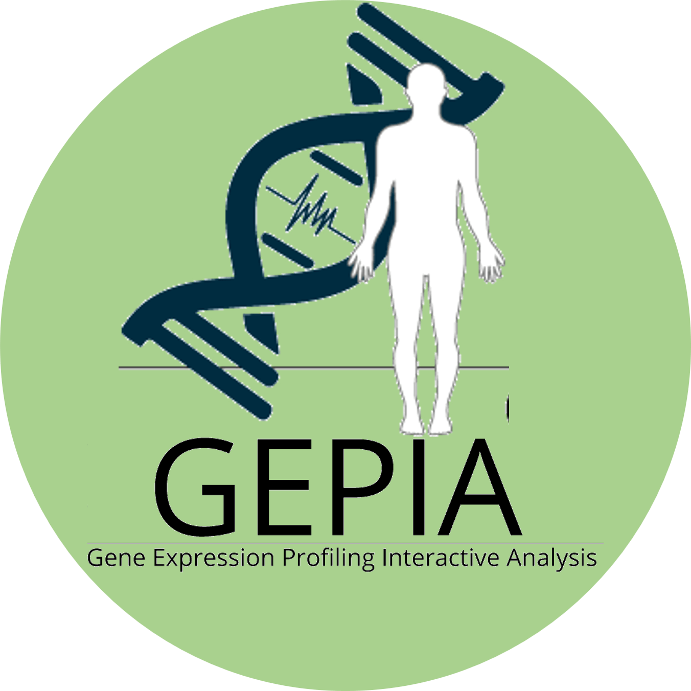 gepia Icon